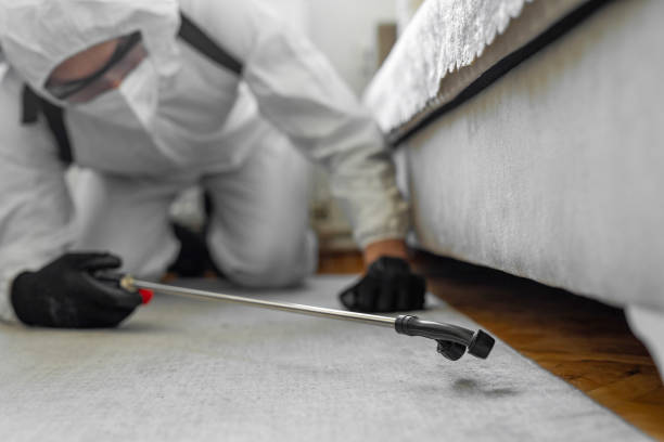 Professional Termite Control technician working in Fremont, IN