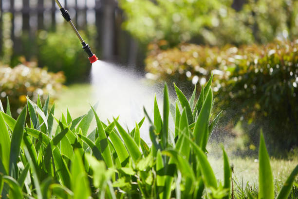 24/7 Emergency Termite Control experts in Fremont, IN