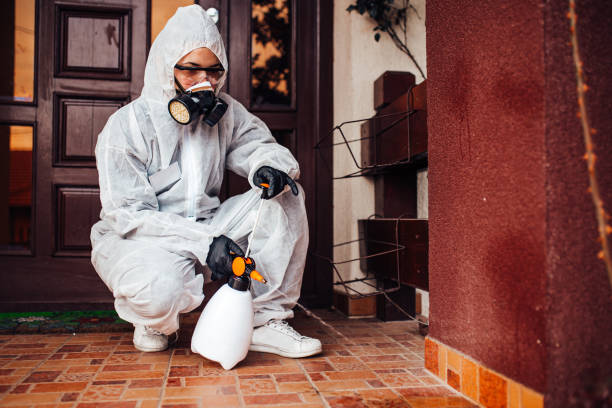Reliable Termite Control contractor in Fremont, IN by Nex Pest Control