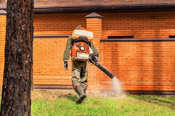 Top rated local Termite Control specialists in Fremont, IN